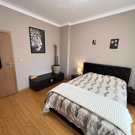 Apartman Hamburg 100 Sq M 2bdr Family Near Ndk And Vitosha Blvd Szófia