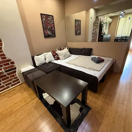 Hamburg 100 Sq M 2bdr Family Near Ndk And Vitosha Blvd Daire *